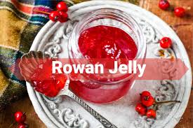 easy homemade rowan berry jelly