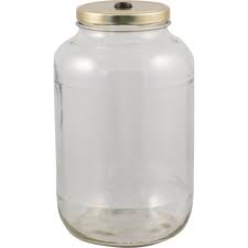 1 Gallon Glass Jar Fermenter Kit Lug