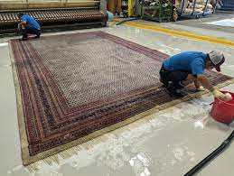 how long does professional rug cleaning