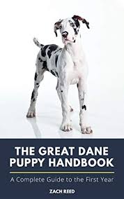 The great dane's 'gentle giant' nickname is well earned by its loving, quiet persona. The Great Dane Puppy Handbook A Complete Guide To The First Year Kindle Edition By Reed Zach Crafts Hobbies Home Kindle Ebooks Amazon Com