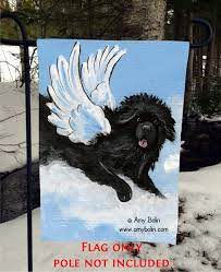 black newfoundland dog playful angel 12