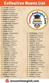 Detailed Collective Nouns List in English - Lessons For English