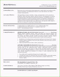 Resumes 50 Plus Amazing Models Resume Statements Examples Paralegal