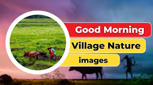 67 village good morning nature images