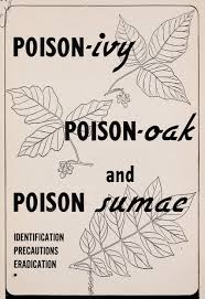 recognizing poison ivy oak sumac