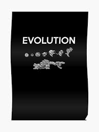 Metroid Evolution Poster