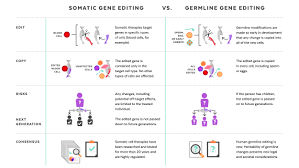 Ethical issues of genetic engineering ethical issues, including concerns for animal welfare, can arise at all stages in the generation and life span of an individual genetically engineered animal. Harvard Researchers Share Views On Future Ethics Of Gene Editing Harvard Gazette