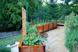 75 deck container garden ideas you ll