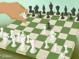 We did not find results for: Common Chess Openings You Should Learn