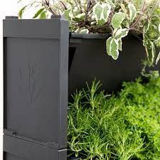 Plantbox Living Wall System Growing