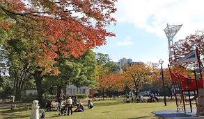 「横浜公園　紅葉　画像　無料」の画像検索結果