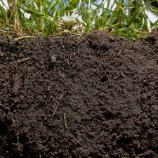 amazing garden soil from clay silt