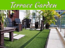 Start Terrace Gardening