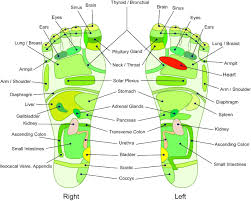 Reflexology Chart Feet Lagunapaper Co
