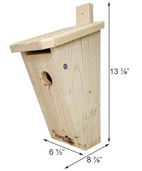 Slant Front Bluebird House By Prime