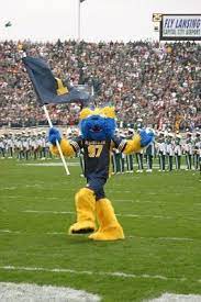 Mascot for the Michigan Wolverines. | Football usa, College basketball  teams, University of michigan wolverines