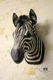 faux taxidermy zebra head animal