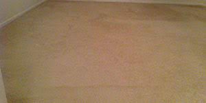 carpet repair in fort collins nip and