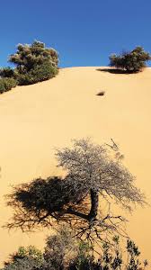 Sand dunes, is a real desert located in the inland of lemnos. Lemnos The Island Of The God Hepheastus Issuu
