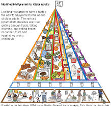 Over 70 Adults Get New Food Pyramid