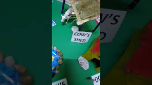 Do you like this video? Animals And Their Homes School Project Youtube