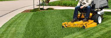 * maintain a groomed and clean outdoor environment; Garden Maintenance Services Dubai 1 Gardening Company