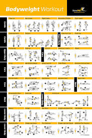 Gold U S Gym Home Gym Exercise Chart Www Bedowntowndaytona Com