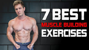 the only 7 exercises you need for m