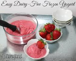 easy dairy free frozen yogurt recipe