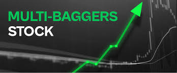 how to find multibagger stocks that you
