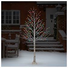 outdoor fully lit birch twig tree with