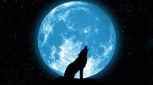 Find the best wolf howling at the moon wallpaper on wallpapertag. Galaxy Wolf Moon Night Moon Wallpaper