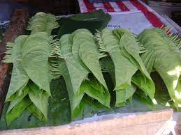 addiction to betel nuts