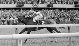 where-did-sham-finish-in-the-1973-belmont-stakes