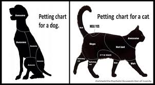 Petting Chart For A Cat Dog Cat Vs Dog Cats Dog Cat