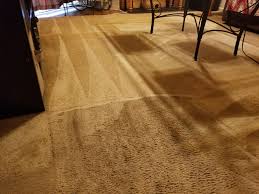 best carpet steam cleaning 79 special