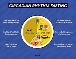 how does circadian rhythm fasting work