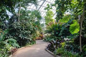 daniel stowe botanical garden to reopen