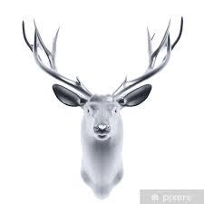 silver deer head poster pixers we