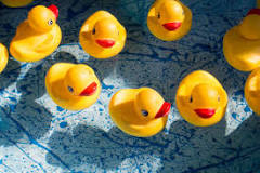 what-is-the-rubber-duck-theory