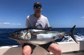 Bigeye Tuna Fishing: species guide, charters and destinations - Tom's Catch