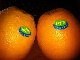 نتيجة بحث الصور عن البرتقال اليافاوي