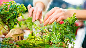 Diy Miniature Fairy Garden To Keep You