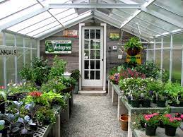 An Old Shed Becomes A Spa And Greenhouse
