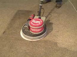 cleaning doctor carpet cleaning using