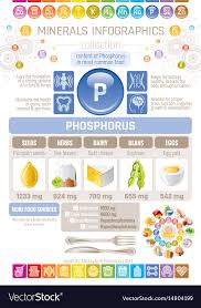 Phosphorus Mineral Supplement Rich Food Icons