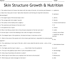 skin structure growth nutrition