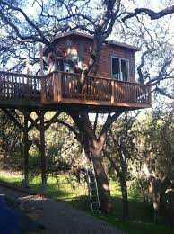 30 Free Diy Tree House Plans To Make