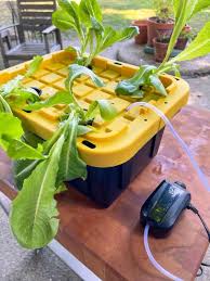 how to build a diy hydroponic system