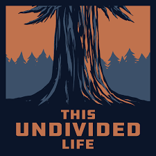This Undivided Life